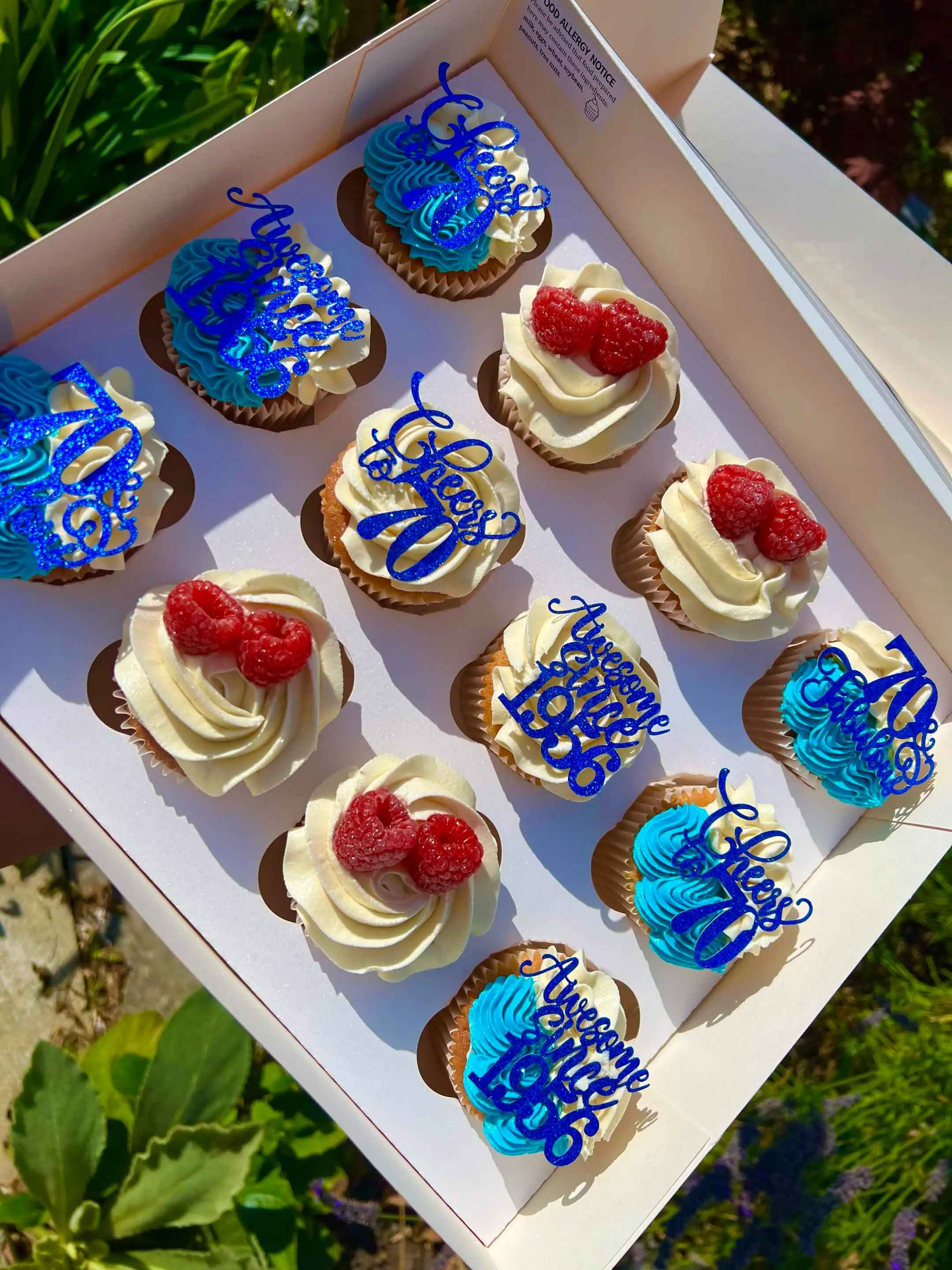 Box of 12 cupcakes