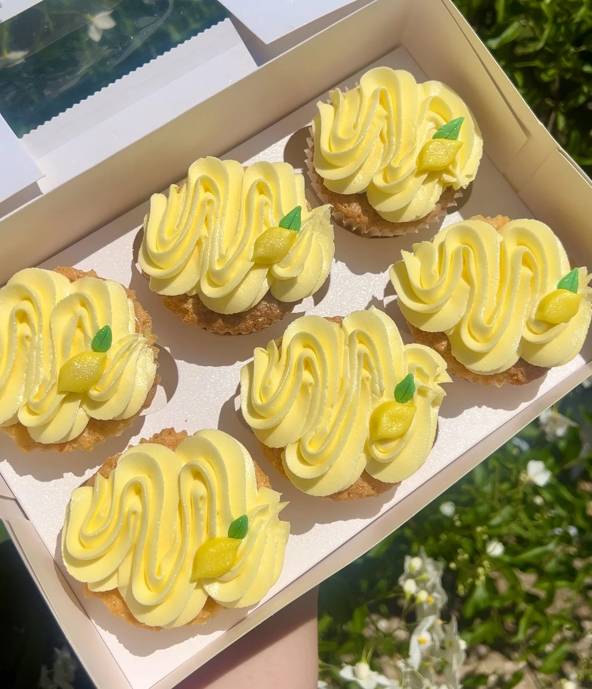 Lemon Drizzle Cupcake Box
